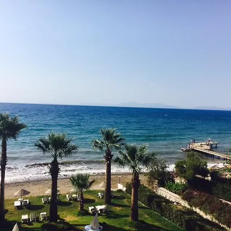 מלון Art Beach *