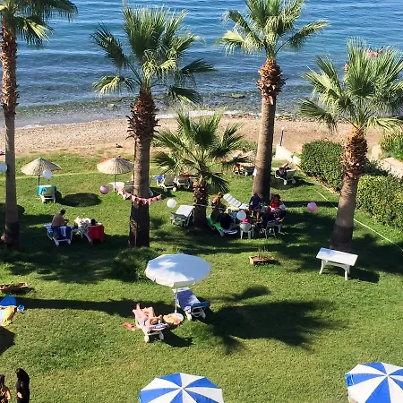 מלון Art Beach *